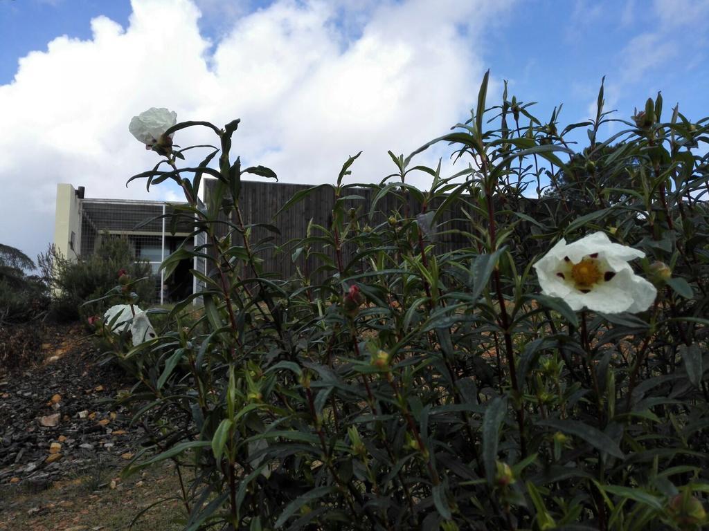 Helechosa Casas Rurales Cijaraゲストハウス エクステリア 写真